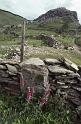 RWT 0313 337-12 UK Welsh Mtns